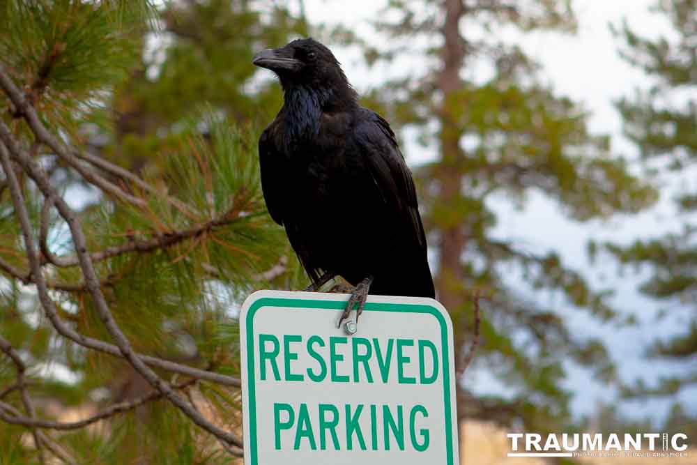 One of the most beautiful places I have ever visited in my lifetime