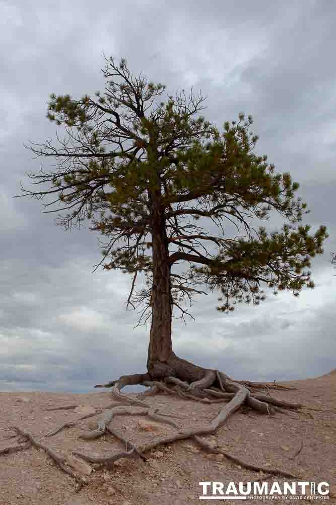 One of the most beautiful places I have ever visited in my lifetime