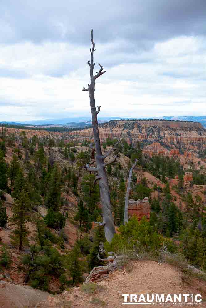 One of the most beautiful places I have ever visited in my lifetime