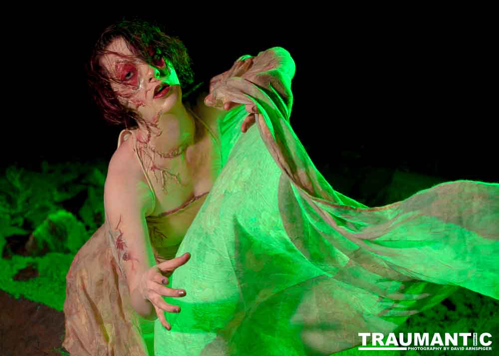 Rebecca had an idea for a Silent Hill inspired character.  I was playing with some lighting techniques, so we got together and shot out on Black Mountain in Henderson.  We got these cool shots.