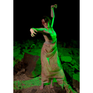 Rebecca had an idea for a Silent Hill inspired character.  I was playing with some lighting techniques, so we got together and shot out on Black Mountain in Henderson.  We got these cool shots.