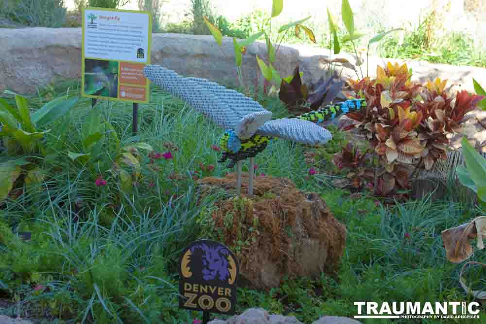 My family made a trip to the Denver Zoo.  I had a secondary motive, shooting some pics of the LEGO exhibit.  They had some very cool displays and I thought I would share some of the shots here.