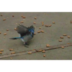 These characters never get boring for me.  Every morning I have models.