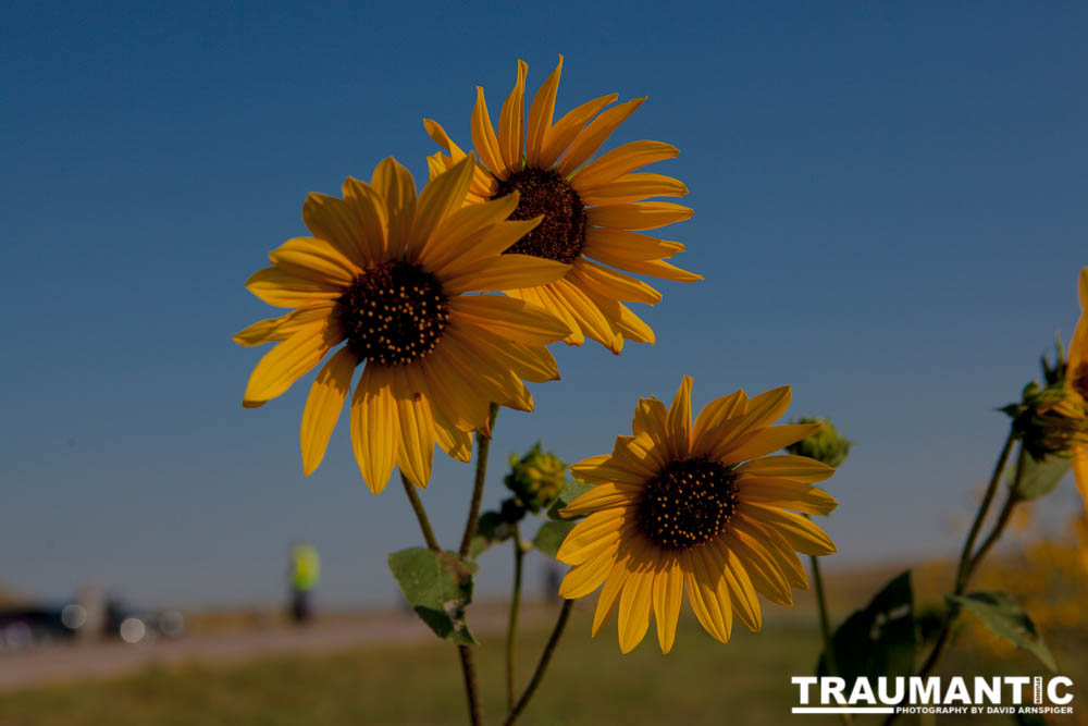 My friends and I drove up into Nebraska to Agate Fossil Beds National Park to experieince and photograph the total eclipse.  What a day!